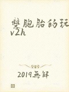 双胞胎的玩具1v2h封面