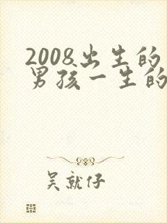 2008出生的男孩一生的命运