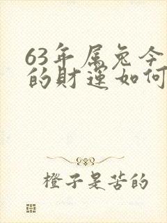 63年属兔今天的财运如何