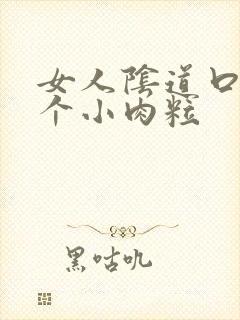 女人阴道口有两个小肉粒