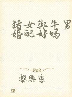 猪女与牛男属相婚配好吗封面