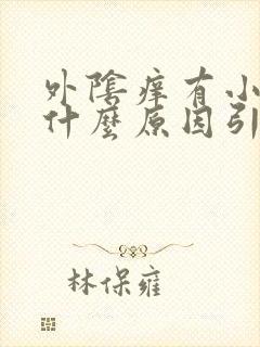 外阴痒有小疙瘩什么原因引起的