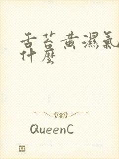 舌苔黄湿气重吃什么