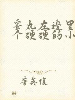 睾丸左边里面有个硬硬的小疙瘩