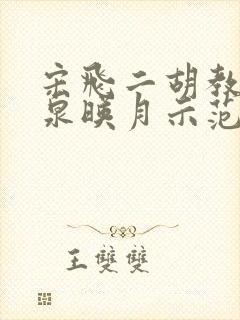 宋飞二胡教学二泉映月示范