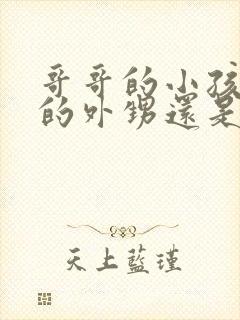 哥哥的小孩是我的外甥还是侄子