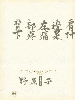 背部左边肩胛骨下疼痛是什么原因封面