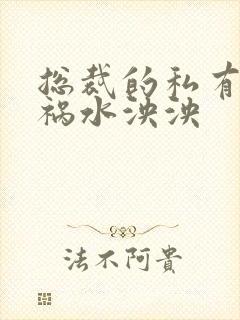 总裁的私有宝贝祸水泱泱