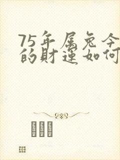 75年属兔今天的财运如何