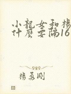 小龙女和杨过为什么要隔16年封面