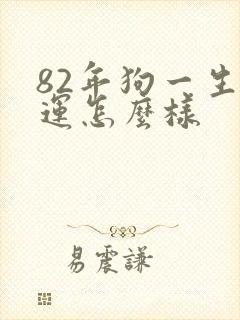 82年狗一生财运怎么样