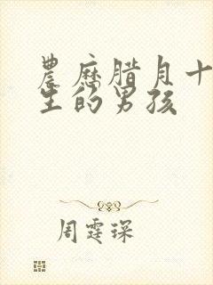 农历腊月十三出生的男孩