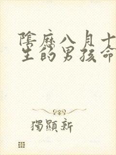 阴历八月十三出生的男孩命运