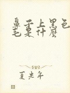 鼻子上黑色的毛毛是什么