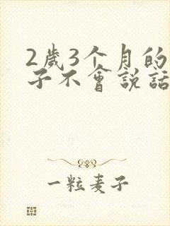 2岁3个月的孩子不会说话