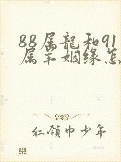 88属龙和91属羊姻缘怎么样封面