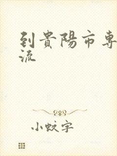 到贵阳市专线物流