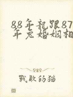 88年龙跟87年兔婚姻相配吗封面