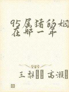 95属猪的姻缘在哪一年封面