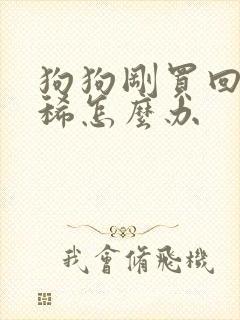 狗狗刚买回来拉稀怎么办