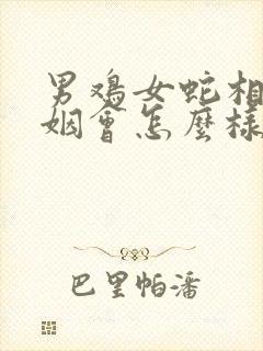 男鸡女蛇相配婚姻会怎么样