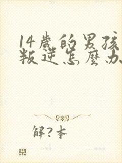 14岁的男孩子叛逆怎么办