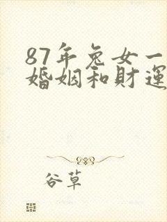 87年兔女一生婚姻和财运