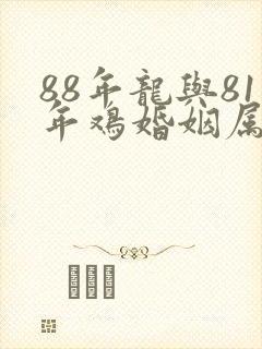 88年龙与81年鸡婚姻属相相配
