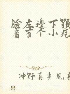 脸左边下颚手摸着有个小疙瘩有点疼