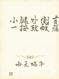 小腿外侧有根筋一按就酸痛疼