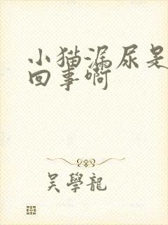 小猫漏尿是怎么回事啊