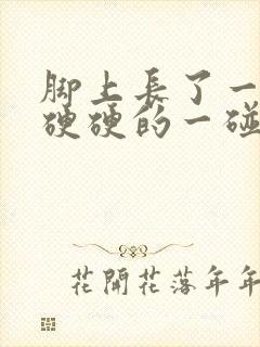 脚上长了一个包硬硬的一碰就痛封面