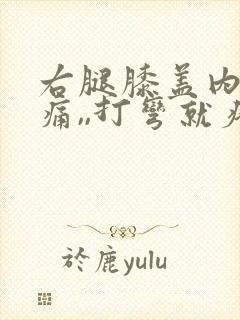 右腿膝盖内侧疼痛,,打弯就疼,为什么封面