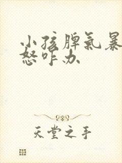 小孩脾气暴躁易怒咋办