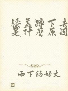 膝盖蹲下去就痛是什么原因封面