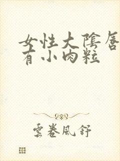 女性大阴唇内侧有小肉粒