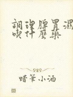 调理脾胃湿气重吃什么药