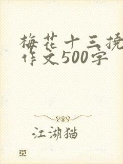 梅花十三挠脚心作文500字封面