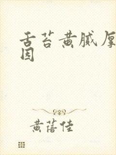 舌苔黄腻厚的原因封面