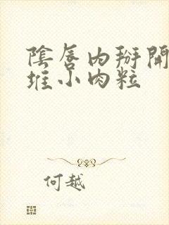 阴唇内掰开有一堆小肉粒封面