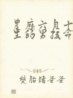 农历六月十三出生的男孩命运