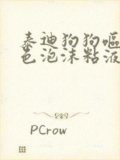 泰迪狗狗呕吐白色泡沫粘液