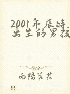 2001年辰时出生的男孩命运