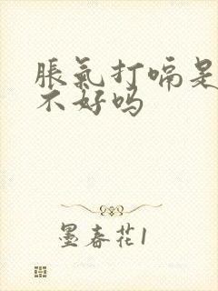 胀气打嗝是脾胃不好吗