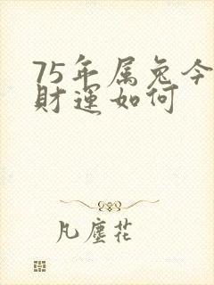 75年属兔今年财运如何