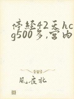 停经42天hcg500多,宫内外无孕囊封面