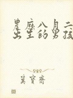 农历八月二十八出生的男孩命运