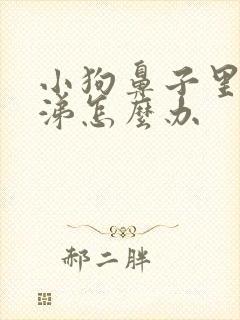 小狗鼻子里有鼻涕怎么办