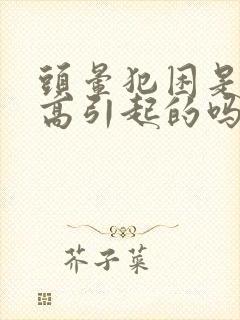 头晕犯困是血压高引起的吗封面