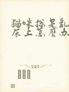 猫咪总是乱尿在床上怎么办封面